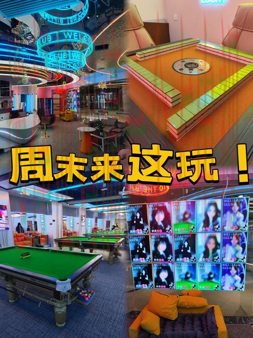 探索凯发娱乐官方链接的多样化选择